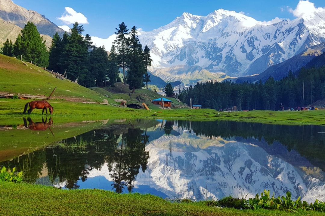 Fairy Meadows