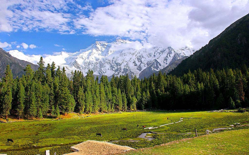 Fairy Meadows